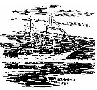 01 (14)